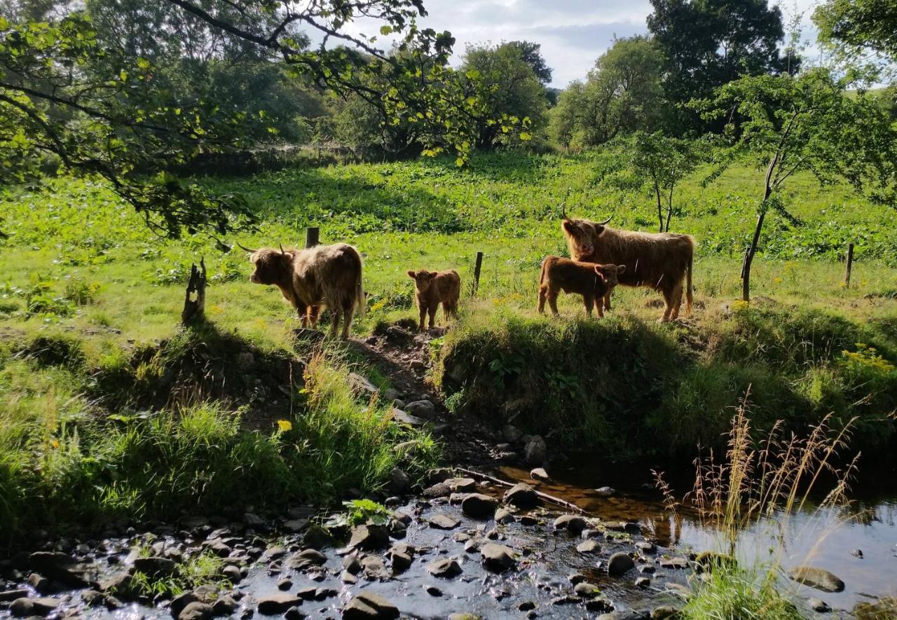 Bankhouse B&B Aberlour Dış mekan fotoğraf